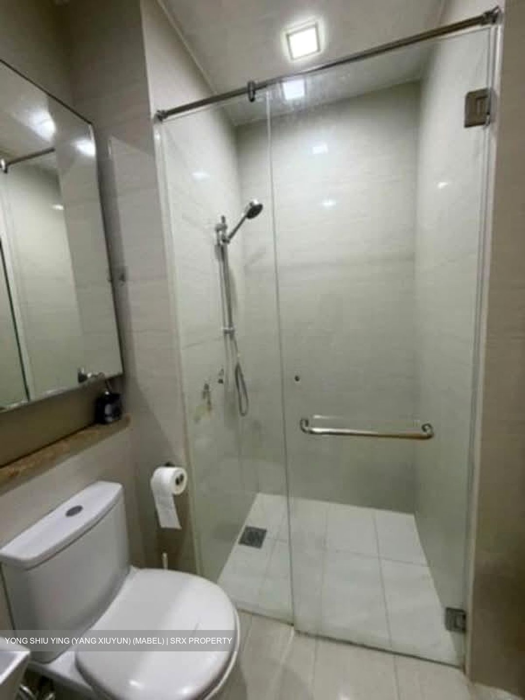 Boathouse Residences (D19), Condominium #549224751